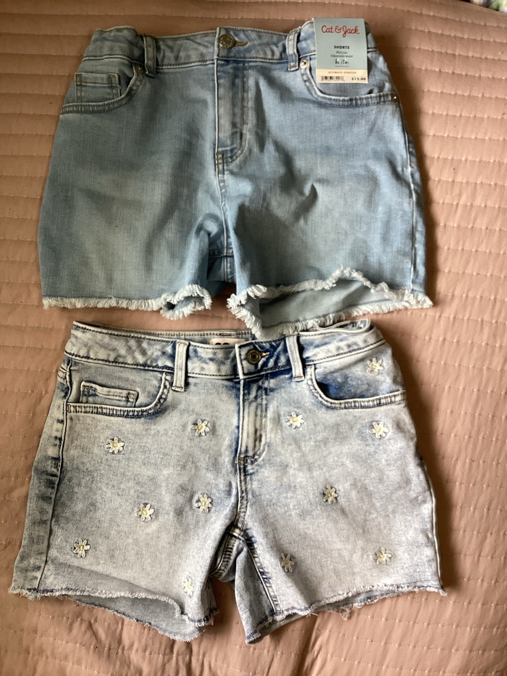 Light Blue Daisy-Embroidered Denim Shorts